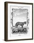 Ocelot-A Bell-Framed Giclee Print