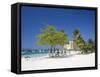 Ocho Rios, Jamaica, West Indies, Caribbean, Central America-Angelo Cavalli-Framed Stretched Canvas