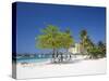 Ocho Rios, Jamaica, West Indies, Caribbean, Central America-Angelo Cavalli-Stretched Canvas