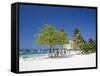 Ocho Rios, Jamaica, West Indies, Caribbean, Central America-Angelo Cavalli-Framed Stretched Canvas