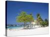 Ocho Rios, Jamaica, West Indies, Caribbean, Central America-Angelo Cavalli-Stretched Canvas