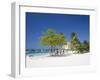 Ocho Rios, Jamaica, West Indies, Caribbean, Central America-Angelo Cavalli-Framed Photographic Print