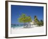 Ocho Rios, Jamaica, West Indies, Caribbean, Central America-Angelo Cavalli-Framed Photographic Print