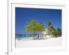 Ocho Rios, Jamaica, West Indies, Caribbean, Central America-Angelo Cavalli-Framed Photographic Print