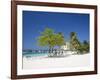 Ocho Rios, Jamaica, West Indies, Caribbean, Central America-Angelo Cavalli-Framed Photographic Print