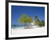 Ocho Rios, Jamaica, West Indies, Caribbean, Central America-Angelo Cavalli-Framed Photographic Print