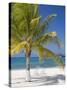 Ocho Rios, Jamaica, West Indies, Caribbean, Central America-Angelo Cavalli-Stretched Canvas