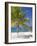 Ocho Rios, Jamaica, West Indies, Caribbean, Central America-Angelo Cavalli-Framed Photographic Print