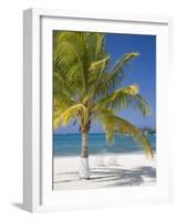 Ocho Rios, Jamaica, West Indies, Caribbean, Central America-Angelo Cavalli-Framed Photographic Print