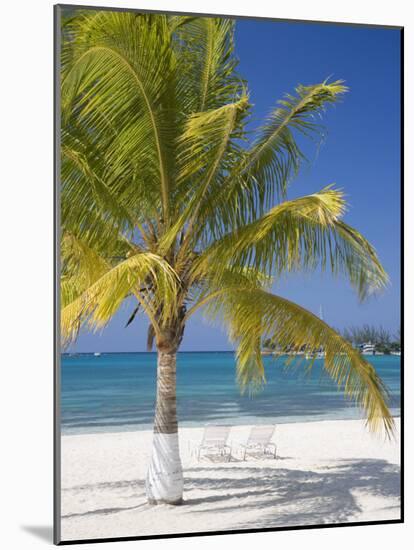 Ocho Rios, Jamaica, West Indies, Caribbean, Central America-Angelo Cavalli-Mounted Photographic Print