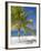 Ocho Rios, Jamaica, West Indies, Caribbean, Central America-Angelo Cavalli-Framed Photographic Print