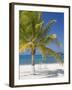 Ocho Rios, Jamaica, West Indies, Caribbean, Central America-Angelo Cavalli-Framed Photographic Print