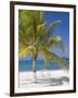 Ocho Rios, Jamaica, West Indies, Caribbean, Central America-Angelo Cavalli-Framed Photographic Print