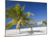 Ocho Rios, Jamaica, West Indies, Caribbean, Central America-Angelo Cavalli-Mounted Photographic Print