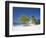 Ocho Rios, Jamaica, West Indies, Caribbean, Central America-Angelo Cavalli-Framed Photographic Print