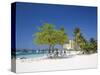 Ocho Rios, Jamaica, West Indies, Caribbean, Central America-Angelo Cavalli-Stretched Canvas