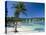 Ocho Rios, Jamaica, West Indies, Central America-Sergio Pitamitz-Stretched Canvas