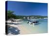 Ocho Rios, Jamaica, West Indies, Central America-Sergio Pitamitz-Stretched Canvas