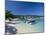 Ocho Rios, Jamaica, West Indies, Central America-Sergio Pitamitz-Mounted Photographic Print