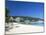 Ocho Rios, Jamaica, West Indies, Central America-Sergio Pitamitz-Mounted Photographic Print