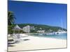 Ocho Rios, Jamaica, West Indies, Central America-Sergio Pitamitz-Mounted Photographic Print