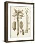 Ochre Botanical I-Vision Studio-Framed Art Print