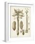 Ochre Botanical I-Vision Studio-Framed Art Print