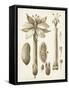 Ochre Botanical I-Vision Studio-Framed Stretched Canvas