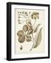 Ochre Botanical II-Vision Studio-Framed Art Print