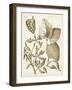 Ochre Botanical III-Vision Studio-Framed Art Print