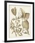 Ochre Botanical III-Vision Studio-Framed Art Print