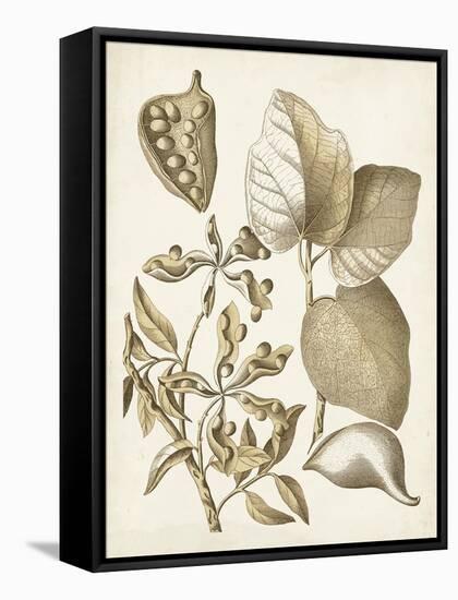 Ochre Botanical III-Vision Studio-Framed Stretched Canvas