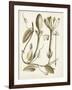 Ochre Botanical IV-Vision Studio-Framed Art Print