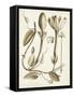 Ochre Botanical IV-Vision Studio-Framed Stretched Canvas