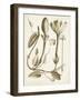 Ochre Botanical IV-Vision Studio-Framed Art Print
