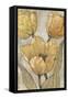 Ochre & Grey Tulips II-Tim O'toole-Framed Stretched Canvas