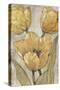 Ochre & Grey Tulips II-Tim O'toole-Stretched Canvas