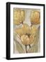 Ochre & Grey Tulips II-Tim O'toole-Framed Art Print