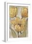 Ochre & Grey Tulips II-Tim O'toole-Framed Art Print