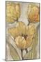 Ochre & Grey Tulips II-Tim O'toole-Mounted Art Print