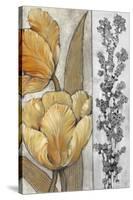 Ochre & Grey Tulips III-Tim O'toole-Stretched Canvas