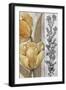 Ochre & Grey Tulips III-Tim O'toole-Framed Art Print