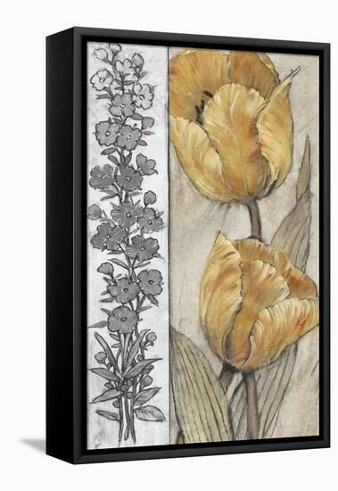 Ochre & Grey Tulips IV-Tim O'toole-Framed Stretched Canvas