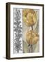 Ochre & Grey Tulips IV-Tim O'toole-Framed Art Print