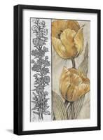 Ochre & Grey Tulips IV-Tim O'toole-Framed Art Print