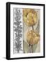 Ochre & Grey Tulips IV-Tim O'toole-Framed Art Print