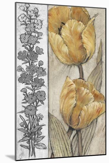 Ochre & Grey Tulips IV-Tim O'toole-Mounted Art Print