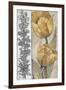 Ochre & Grey Tulips IV-Tim O'toole-Framed Art Print