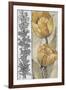 Ochre & Grey Tulips IV-Tim O'toole-Framed Art Print