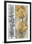 Ochre & Grey Tulips IV-Tim O'toole-Framed Art Print